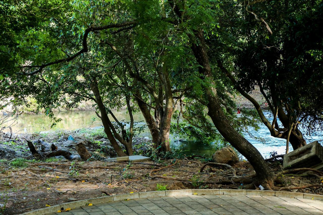 Malwathu Oya Caravan Park Bed and Breakfast Anuradhapura Exteriör bild